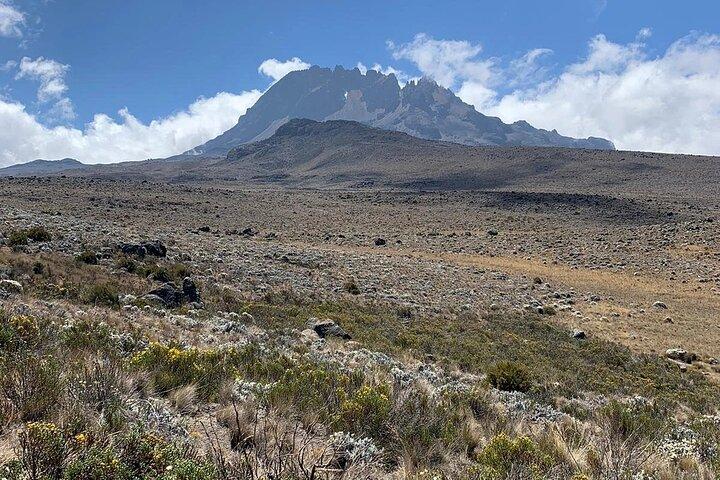 Mount Kilimanjaro - Marangu Route