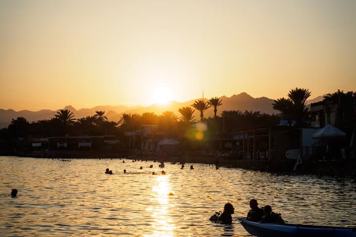 Overnight to Alexandria from Cairo