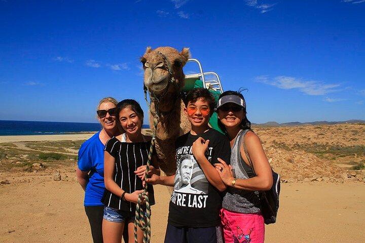 Camel Ride On The Beach at Los Cabos