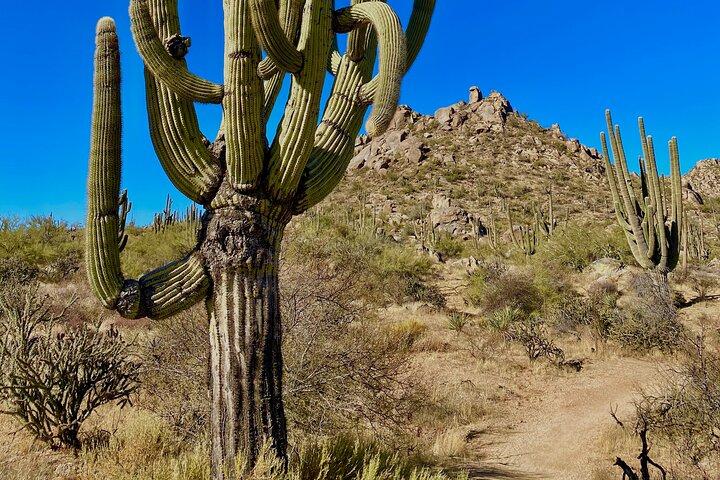 Scottsdale Desert Classic Guided Hiking Adventure