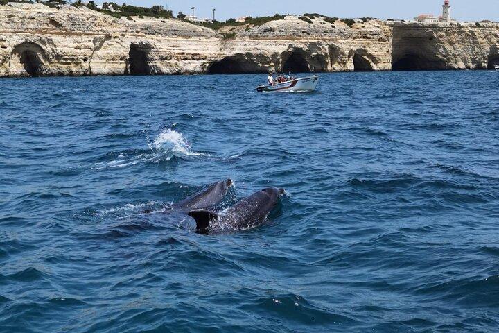Benagil Caves Tour from Portimao - Small Groups