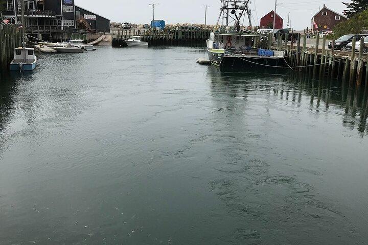 Grand Pre/Bay of Fundy / Hall's Harbour