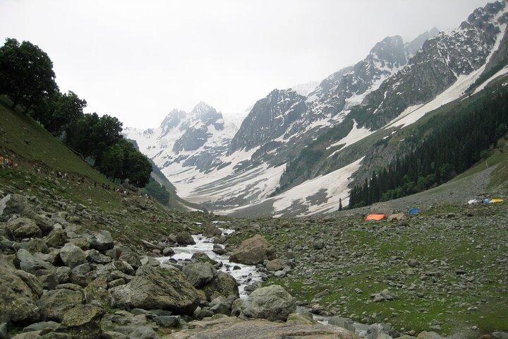 Majestic Sonamarg: A Day Trip to the Meadow of Gold from Srinagar