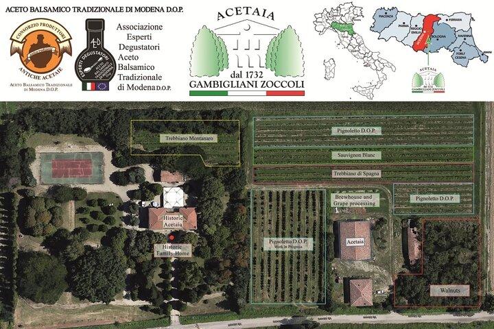 Lunch and Tasting of Traditional Balsamic Vinegar of Modena