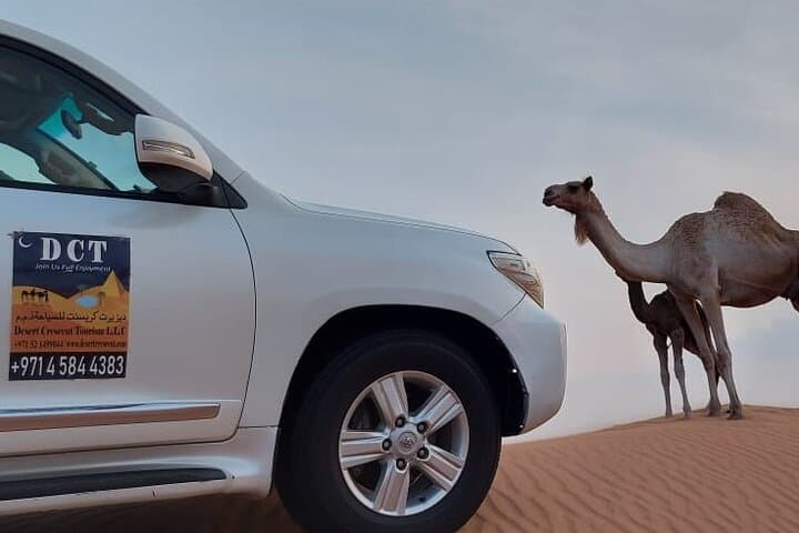 Dubai Desert Safari With Sandboarding & Camel Riding
