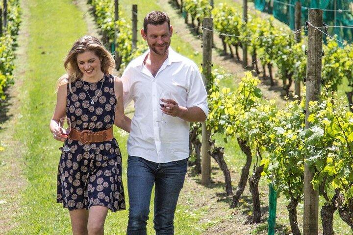 The Essence of Waiheke Wine Tour