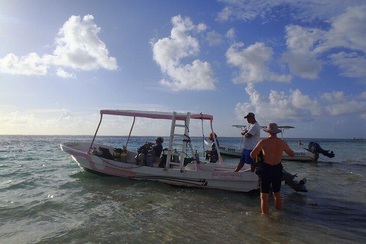 2 Tank Reef Dive in Mexico