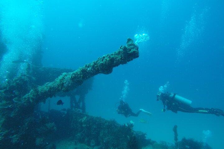 2 Tank Reef Dive in Mexico