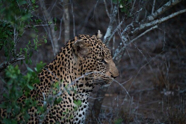 6 days the best of Tanzania private safari