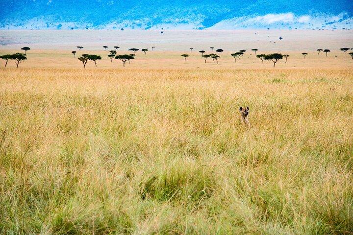 6 days the best of Tanzania private safari