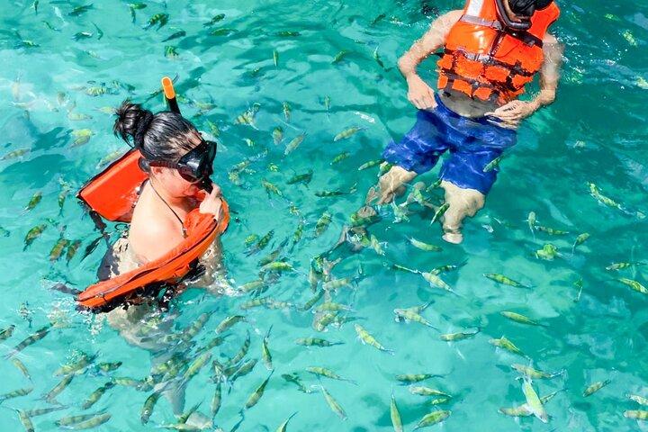 Phi Phi Islands and Khai Islands Snorkeling Tour By Speedboat From Phuket