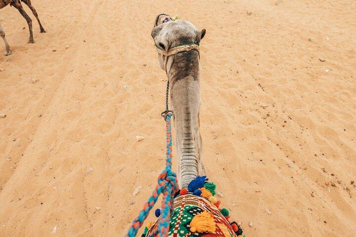 From Cairo: Camel or Horse Ride Tour Around Giza Pyramids