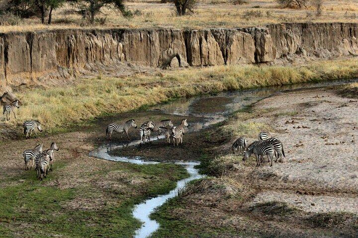 6 days the best of Tanzania private safari