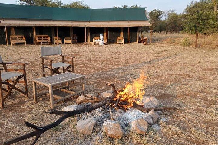 Camping Safari Great Adventure - 5 Day