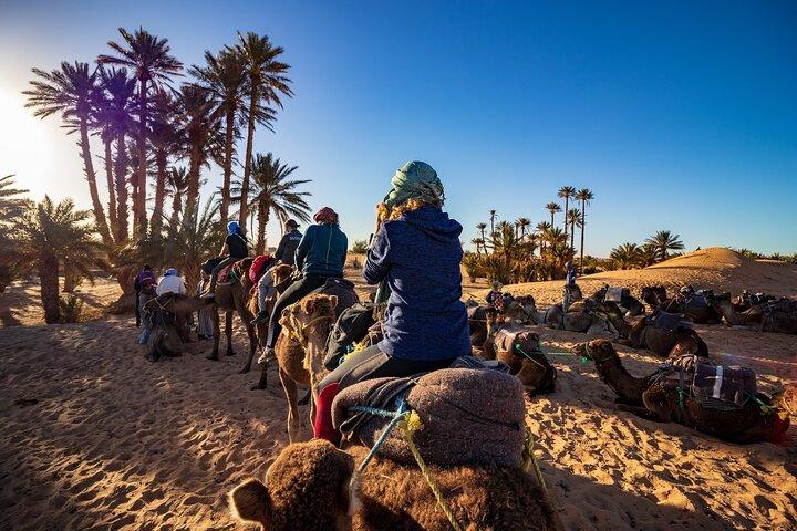 Desert Odyssey: 2 Days _ Marrakech to Merzouga Expedition