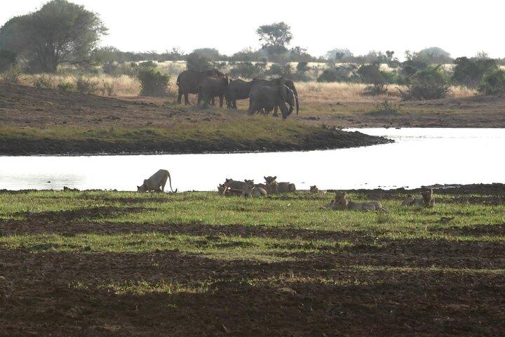 5 Days Safari to Amboseli N/P, Tsavo West N/P, Tsavo East N/P - Luxury.