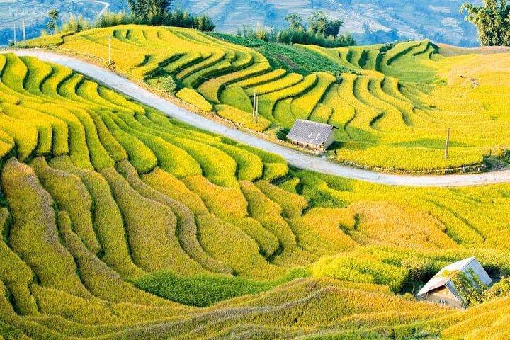 Colors of Sapa - Vietnam 2 Days Tour