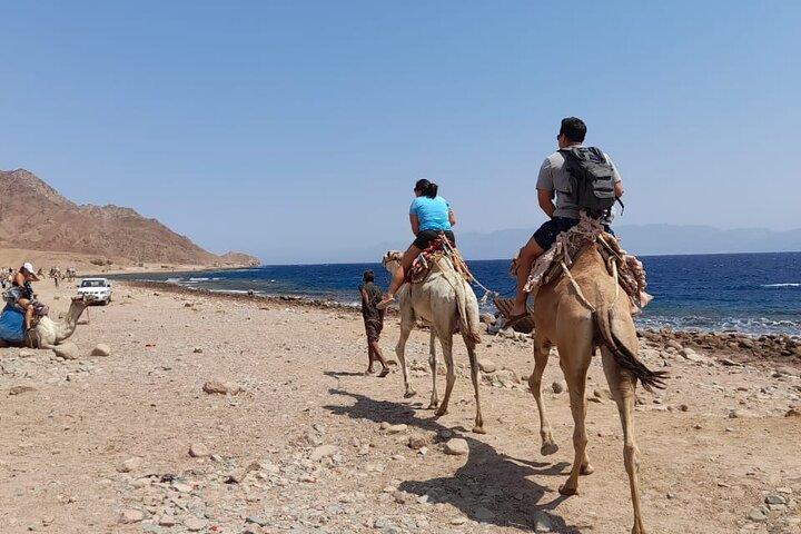 Private Full Day Snorkeling, Camel Ride Tour In Dahab From Sharm El Sheikh