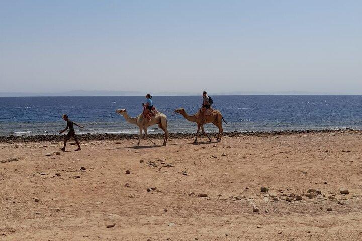 Private Full Day Snorkeling, Camel Ride Tour In Dahab From Sharm El Sheikh