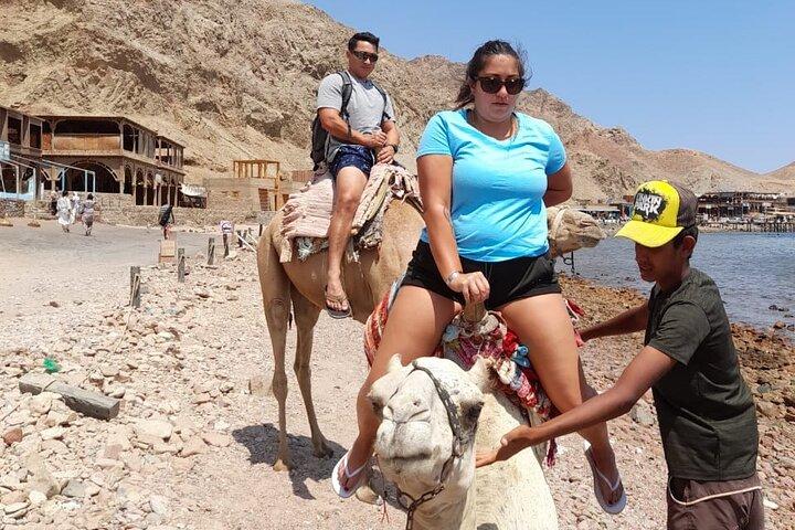 Private Full Day Snorkeling, Camel Ride Tour In Dahab From Sharm El Sheikh