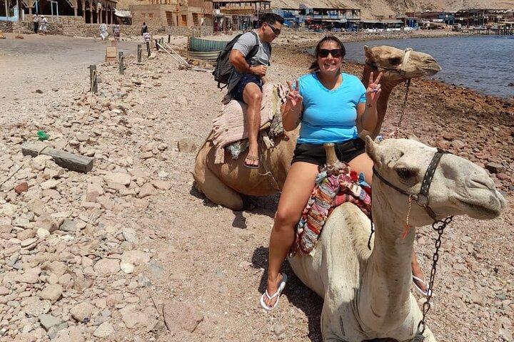 Private Full Day Snorkeling, Camel Ride Tour In Dahab From Sharm El Sheikh