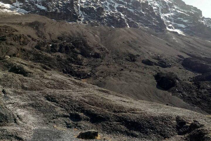 Small-group 7-day Lemosho Route Kilimanjaro Climb from Arusha