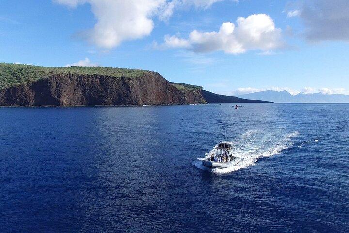 Lanai Eco-Raft Snorkel & Dolphin Watch Small Group Tour from Maui