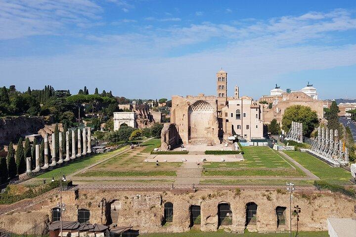 PRIVATE Colosseum, Roman Forum and Palatine Hill half day tour