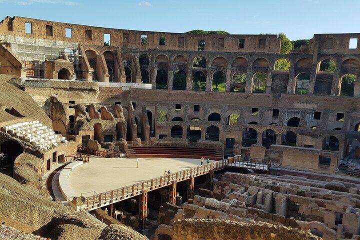 PRIVATE Colosseum, Roman Forum and Palatine Hill half day tour