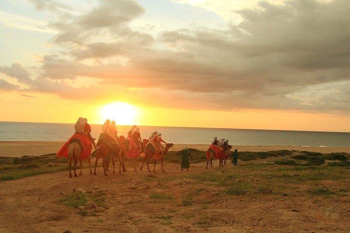 ATV and Camel Ride Combo Adventure in Los Cabos