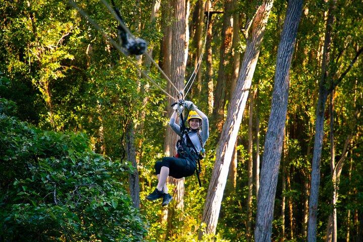 Big Island Kohala Canopy Zipline Adventure