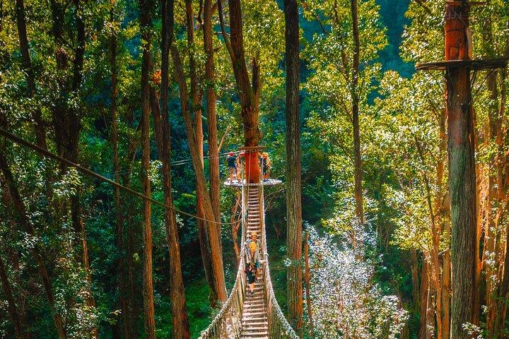 Big Island Kohala Canopy Zipline Adventure