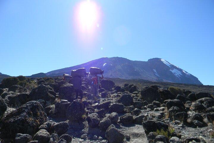 8 Days Kilimanjaro Climbing tour via the Lemosho Route