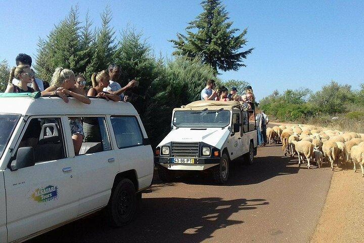 Sunset Jeep Tour through Algarve Countryside from Albufeira