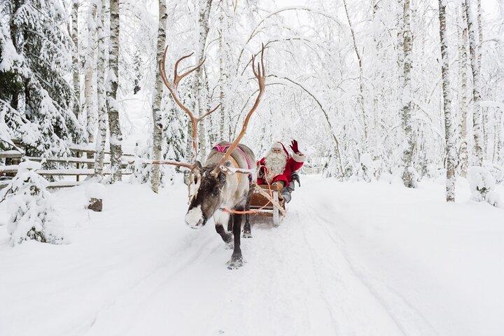 Reindeer Sleigh Ride and Farm Experience from Rovaniemi