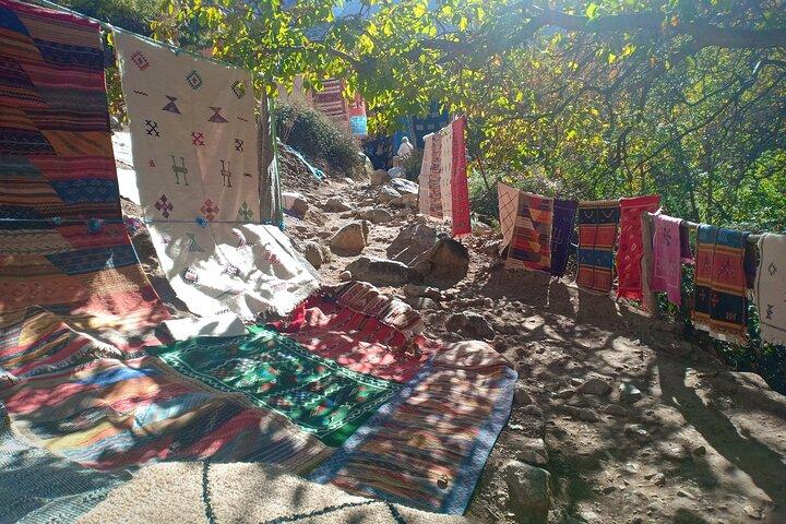 Full day Trip in Ourika Valley and Atlas Mountains From Marrakech