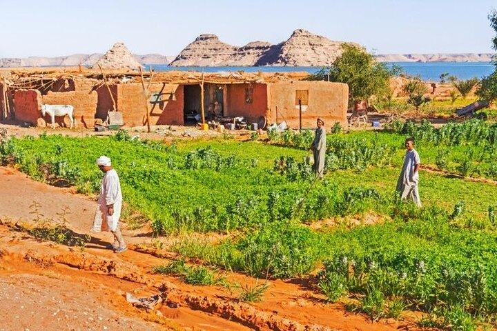 Half-Day Egypt Country Side Farm Tour with Pick Up