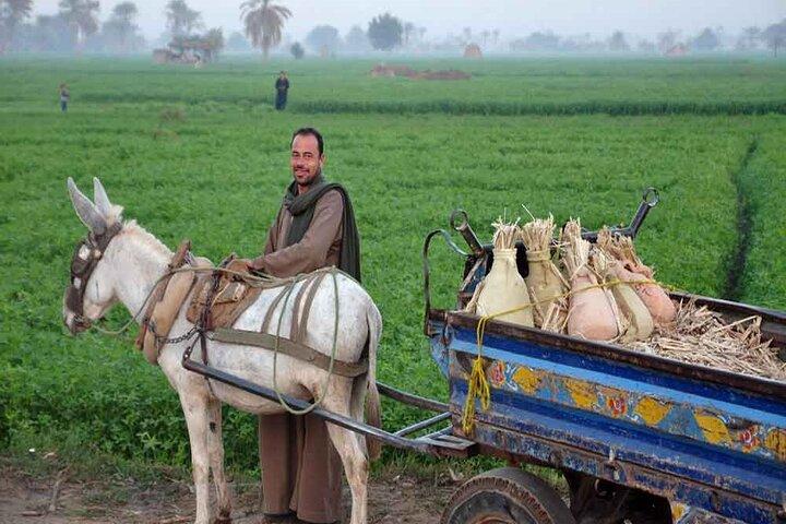 Half-Day Egypt Country Side Farm Tour with Pick Up