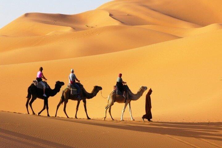 Dubai Desert Safari in Private Car