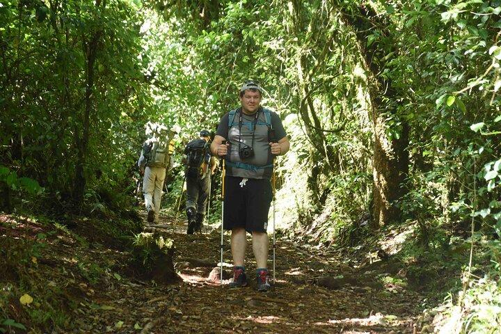 10 Days Mount Kilimanjaro Hike Northern Circuit Route
