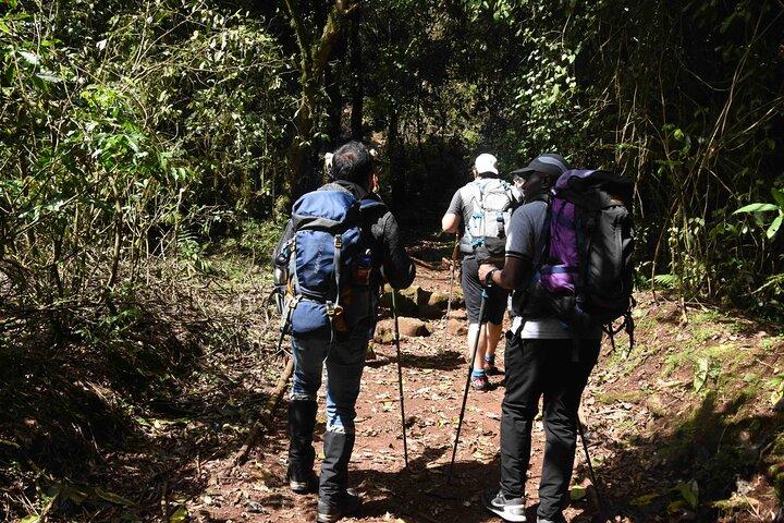 10 Days Mount Kilimanjaro Hike Northern Circuit Route