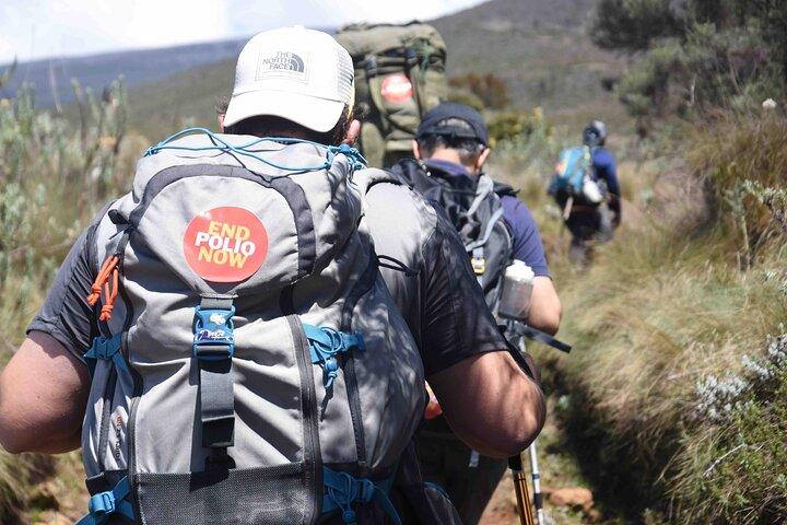 10 Days Mount Kilimanjaro Hike Northern Circuit Route