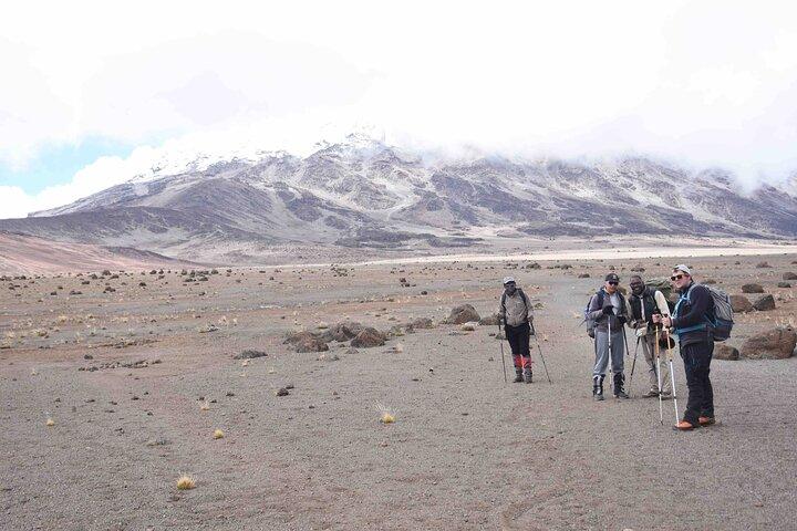 10 Days Mount Kilimanjaro Hike Northern Circuit Route