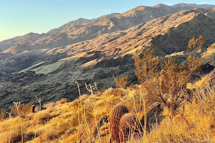 Mountain Sunrise Hike and Meditation in Palm Springs