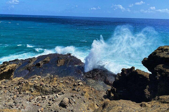 Oahu Island Experience feat the North Shore (Small Group Tour)