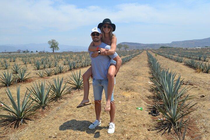 Full Day Tour to Tequila and Amatitán with Fun and Culture