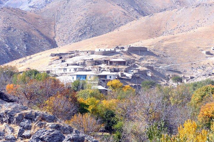Desert yurt camp and Mountain tour - 3 days