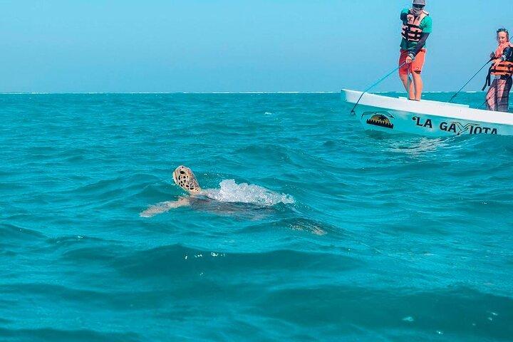 Amazing Tour in Sian Kaan biosphere with Transportation from Cancún!