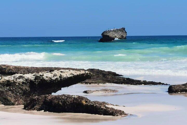 Half Day: Where Sea Meets Rock: Journey to West Salalah’s Shores