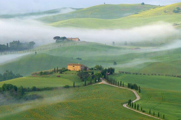 Full Day PRIVATE Guided Tour in Val D'Orcia Region from Florence